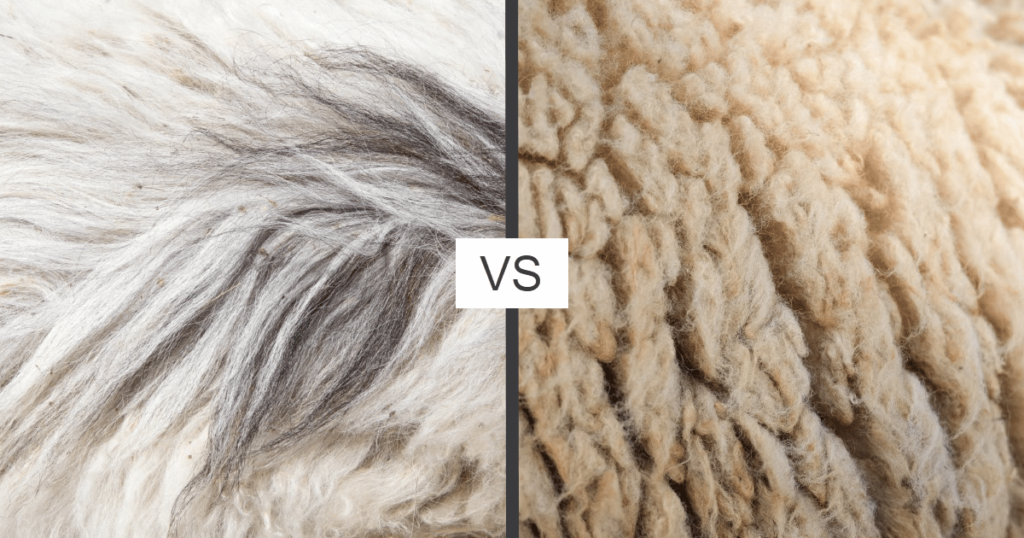 Which is Better: Wool or Cashmere Scarves?